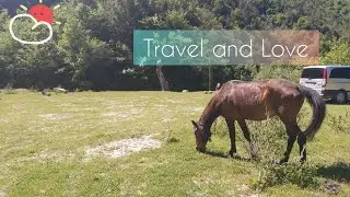 Vlog  Ujëvara e Bogovës . Bogova waterfall