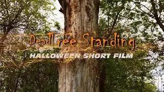 Snag : Dead Tree Standing - Botanical Halloween Short Film
