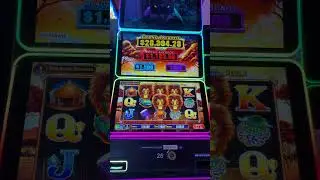 Power Panther Free Game Won🦁️ #slot