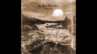 IN THE WOODS | OTRA FULL ALBUM NEW 2025