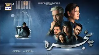 Pinjra Episode 3 |Teazers #pinjra #pinjraepisode3 #drama #review #teazers