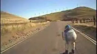 Patterson Pass