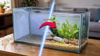 I Turned a Boring Tank Into a Fish&rsquo;s Dream Jungle Home (in 8min 😱)