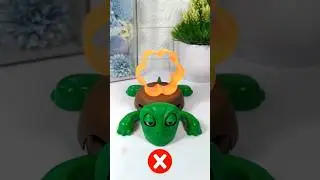 What do you want me to put on top of this turtle? #turtle #coaster #turtlecoaster 555