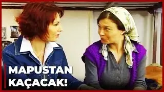 Gülsüm'ün Kaçma Planları! | Yılan Hikayesi 88. Bölüm