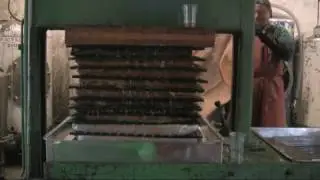 The First Pressing Of The Season