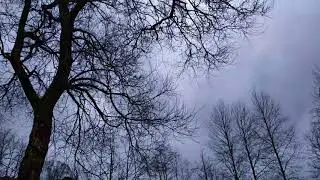 Xiaomi Redmi 5 Plus 1080p video test