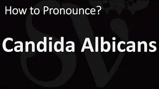 How to Pronounce Candida Albicans? (CORRECTLY)