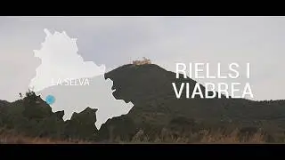 RIELLS I VIABREA