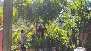 Tour por la casa donde naci ,esta soy yo parte de mi historia.