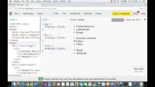 Css Display Property
