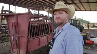Real Ranching Family || Cattle Ranching