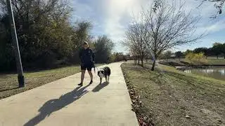 Smoke and Hawkeye: Place and Heeling by Ducks