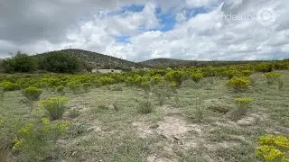 ENDESU.TV | 8: Restauración del pastizal y sus especies prioritarias