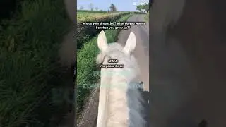 Equestrian content creator #horse #equestrianjourney #equestrian #pony