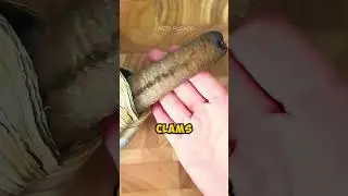 INSANE Natural Abilities! 😱 #shorts #facts #factshorts