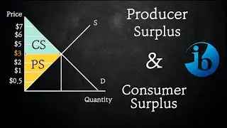 IB ECONOMICS : Consumer and Producer Surplus & Allocative Efficiency