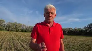 Сев подсолнечника  по No till  демо посевы от компании Alta seeds(США)