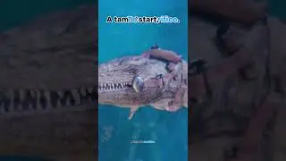 How to TAME a Tusoteuthis in ARK : Survival Ascended ?