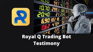 Royal Q Crypto Trading Bot - Testimony