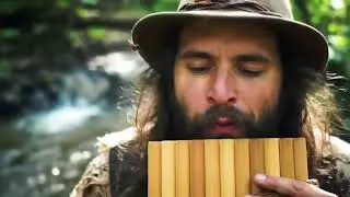 Dreamscape | Pan Flute and Starry Night Ambience