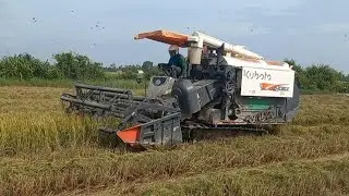 Kubota Cambodia DC105X Combine Harvesting Rice, Machine Rice Havester, Rice Cutting Farming Equipmen