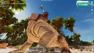 ARK  BASICS: BEGINNER BASICS PART 3