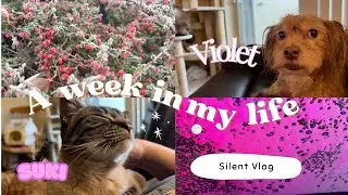 Silent Vlog | Door Dashing | Eastern Washington | ASMR Sounds | Simple Living | Cozy Life | Pets
