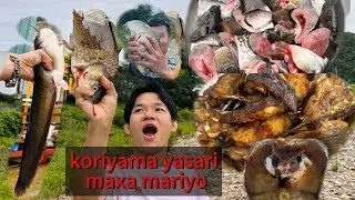 Fishing in korea कोरियामा माछा मार्दै👍बिजोग रमाइलो ✌️ उम्किएको माछा ठुलो​August 10, 2025
