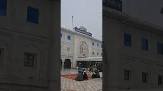 { Gurudwara Sri Panjokhra Sahib, Ambala } shortvideo gurbani