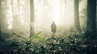 LAST LEAF DOWN - In These Waters (official video - shoegaze)