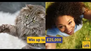 Join the Cats Protection Weekly Charity Lottery