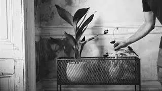 MESHED PLANTER