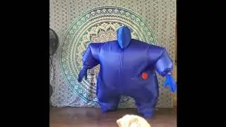 RideOn T-Rex & Inflatable Chub Suit from TvStoreOnline Halloween Costumes