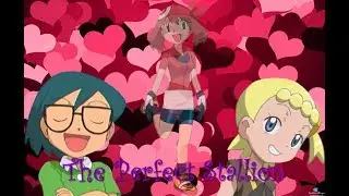 The Perfect Stallion (Pokemon AMV)