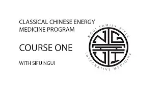 Classical Chinese Energy Medicine Program: Course One