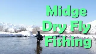 Buffalo Midge Hatch on the Middle Provo - Dry Flies!!!