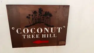 Coconut Tree Hill