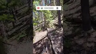 Wilderness | Silence | Solitude