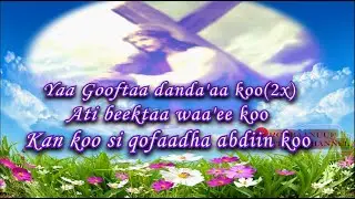 F/taa D/n Abebaw Teferra Yaa Gooftaa danda'aa koo