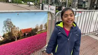 Lisse 2021 - Tulip Fields