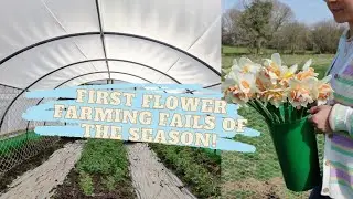 Flower Farming Fails - Don't Make The Same Small Silly Mistakes As Me!