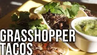 You can order grasshopper tacos at this South Philadelphia restaurant