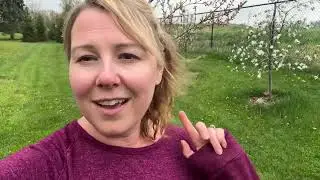 IT WORKED!!! My peppers came back! Garden Update Zone 6 #gardening