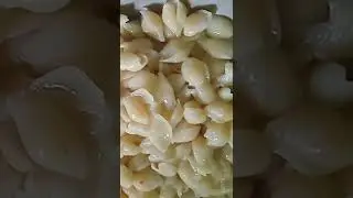 pasta #newadmission