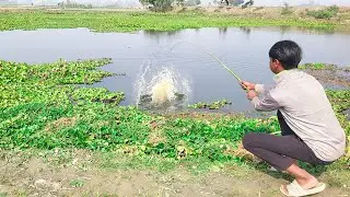 New Best Hook Fishing Video | Traditional Fish Catch With Hook in pond #fish
