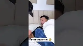 Fake crow prank #funny #comedy #scarecam #jumpscare #funnymoments