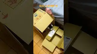 【八寶粥】果然紙箱是貓咪的樂園 #貓咪#可愛#休閒#娛樂#