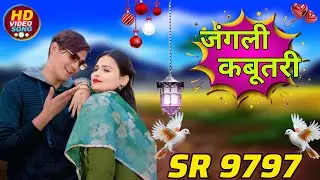SR 9797 - Aslam Singer Mewati || जंगली कबूतरी || New Mewati Video Song 2026 || Digital Mewat