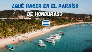 ¡Los MEJORES tours en Roatán🐬! El paraíso de Honduras 🇭🇳🌴🌊